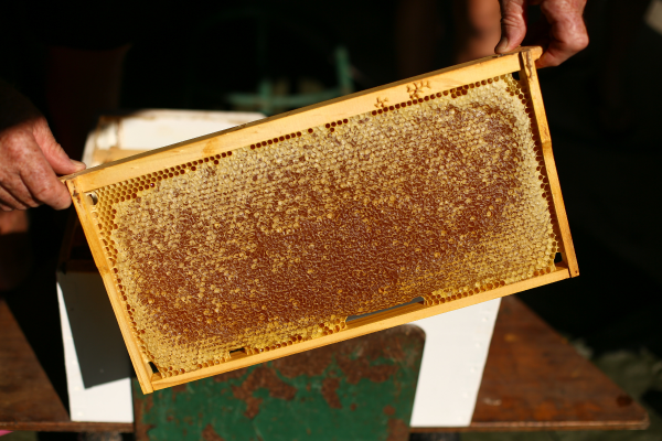 como se extrae la miel
