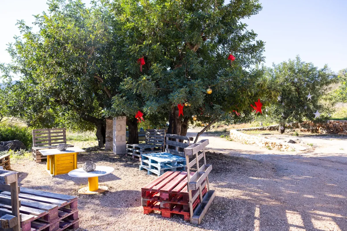 Christmas apitourism